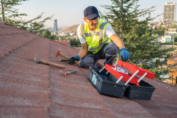 Best Storm Damage Siding Repair  in Las Lomas, CA